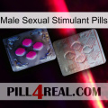 Male Sexual Stimulant Pills 38